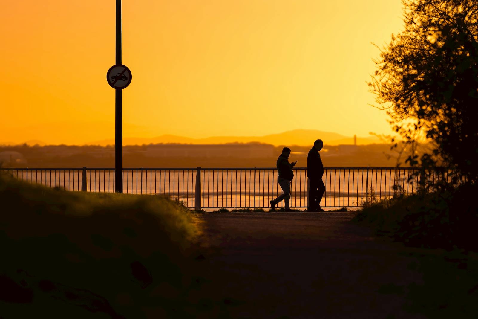 Ram Dass said we are all just walking each other home
